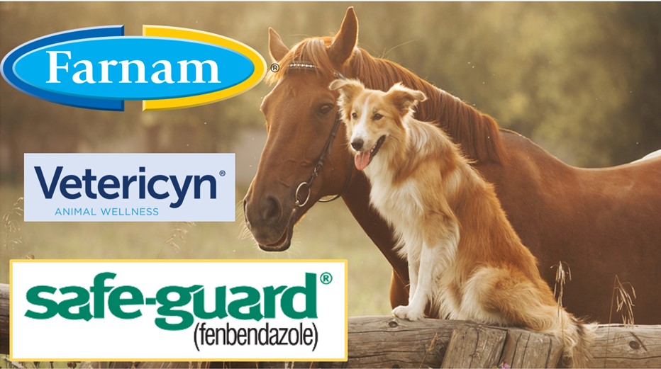 Animal Health & Wellness