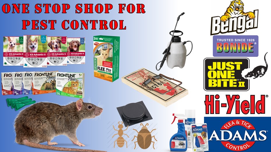 Pest Control
